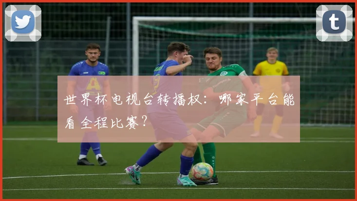 世界杯电视台转播权：哪家平台能看全程比赛？