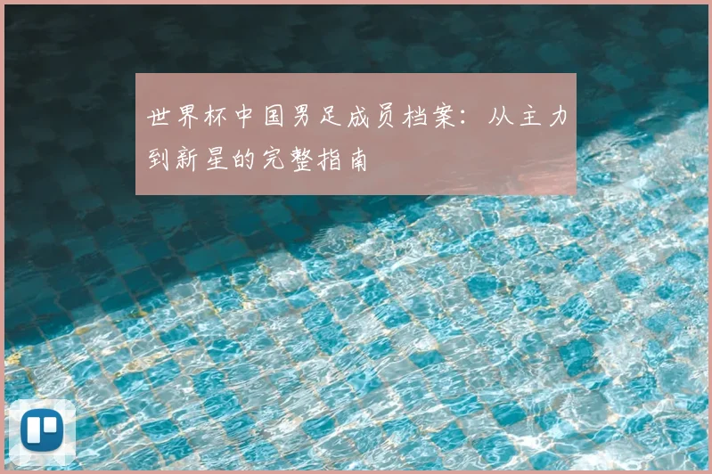 世界杯中国男足成员档案：从主力到新星的完整指南