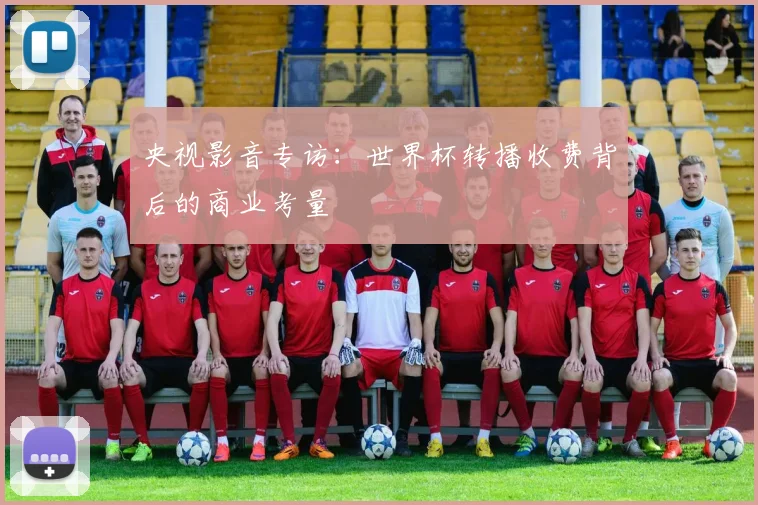 央视影音专访：世界杯转播收费背后的商业考量
