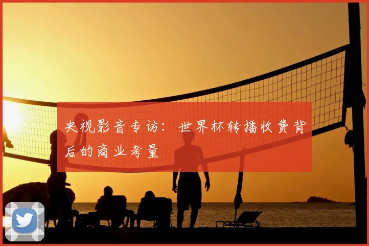 央视影音专访:世界杯转播收费背后的商业考量
