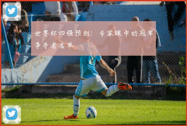 世界杯四强预测:专家眼中的冠军争夺者名单