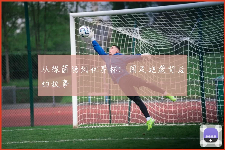 从绿茵场到世界杯:国足逆袭背后的故事