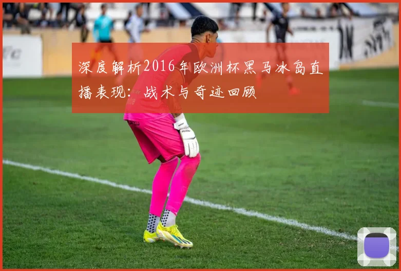 深度解析2016年欧洲杯黑马冰岛直播表现：战术与奇迹回顾